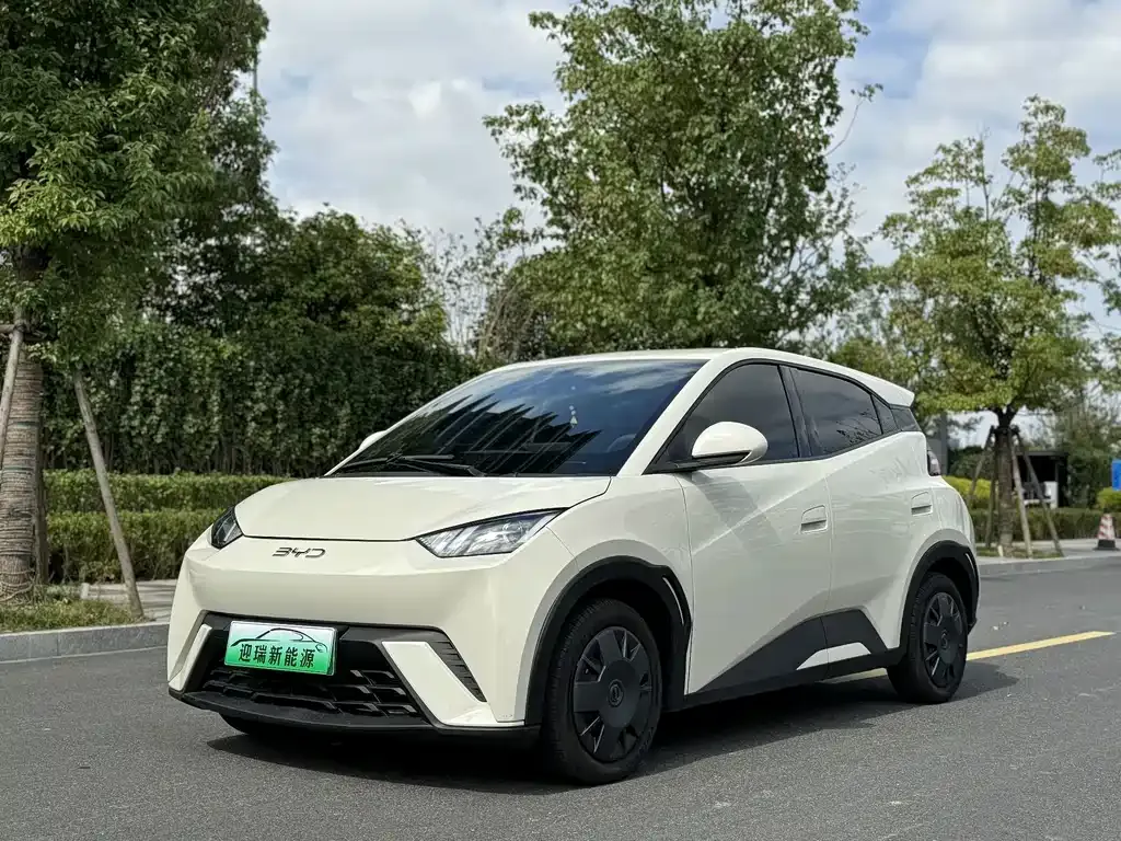 2025 BYD Seagull 305km Vitality