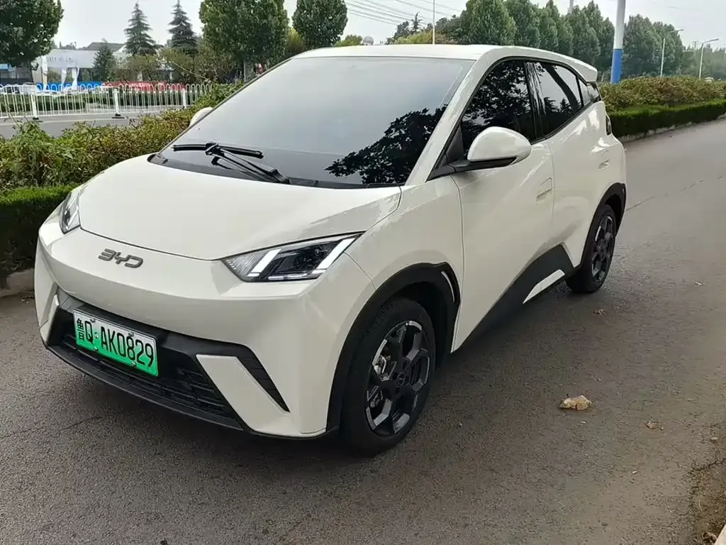 2025 BYD Seagull 305km Freedom