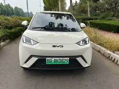 2025 BYD Seagull 305km Freedom, белый — фото 2
