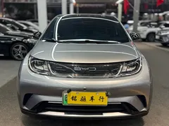 2023 BYD Dolphin 420km Fashion — фото 2