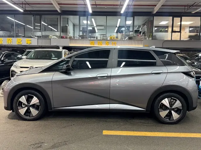 2023 BYD Dolphin 420km Fashion
