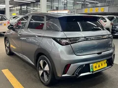 2023 BYD Dolphin 420km Fashion — фото 5