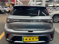 2023 BYD Dolphin 420km Fashion — фото 6
