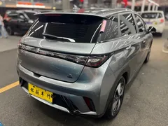 2023 BYD Dolphin 420km Fashion — фото 7