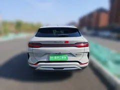 2025 BYD Song PLUS EV 520km Luxury — фото 5
