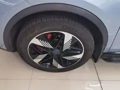 2023 BYD Tang DM-i PHEV 112KM Champion Premium, синий — фото 23