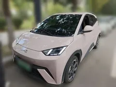 2024 BYD Seagull EV Glory 405km Flying — фото 1