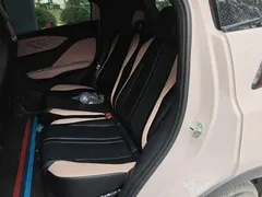 2024 BYD Seagull EV Glory 405km Flying — фото 13