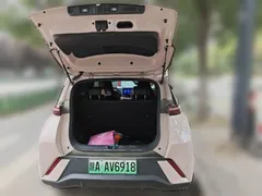 2024 BYD Seagull EV Glory 405km Flying — фото 15