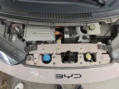 2024 BYD Seagull EV Glory 405km Flying — фото 16