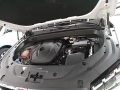2021 Geely Monjaro 2.0TD DCT EVO 2WD Premium, белый — фото 20