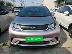 2021 BYD Dolphin EV 401km Knight Edition, чёрный — фото 3