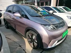 2021 BYD Dolphin EV 401km Knight Edition, чёрный — фото 4