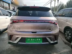 2021 BYD Dolphin EV 401km Knight Edition, чёрный — фото 6