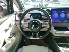 2021 BYD Dolphin EV 401km Knight Edition, чёрный — фото 11