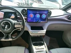 2021 BYD Dolphin EV 401km Knight Edition, чёрный — фото 13
