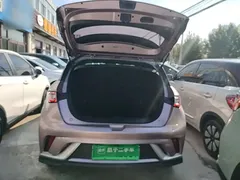 2021 BYD Dolphin EV 401km Knight Edition, чёрный — фото 19