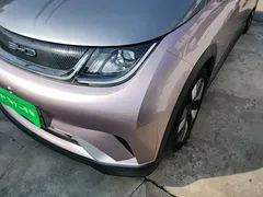 2021 BYD Dolphin EV 401km Knight Edition, чёрный — фото 24
