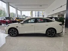2025 BYD Seal 06 DM-i PHEV Smart Driving 120KM Flagship, белый — фото 8