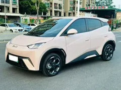 2025 BYD Seagull 305km Freedom — фото 1