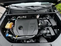 2021 Changan CS75 PLUS 2.0T AT Pilot, чёрный — фото 22