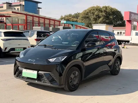 2024 BYD Seagull Honor 305km Vitality