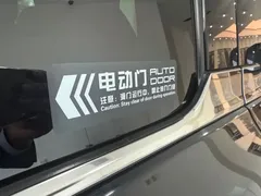 2023 Hongqi HQ9 2.0T, чёрный — фото 10