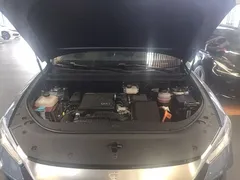 2023 BYD Song Pro Champion DM-i PHEV 71km Exceed — фото 20