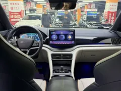 2024 BYD Song PLUS Honor DM-i PHEV 110km Flagship — фото 6