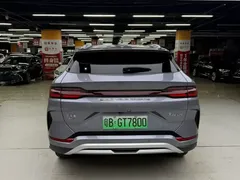 2024 BYD Song PLUS Honor DM-i PHEV 110km Flagship — фото 7