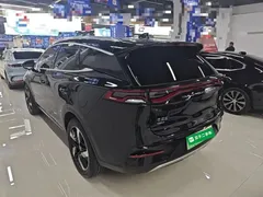 2023 BYD Tang DM-i PHEV Champion 112KM Premium, чёрный — фото 5
