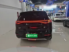 2023 BYD Tang DM-i PHEV Champion 112KM Premium, чёрный — фото 6
