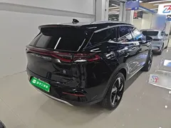 2023 BYD Tang DM-i PHEV Champion 112KM Premium, чёрный — фото 7