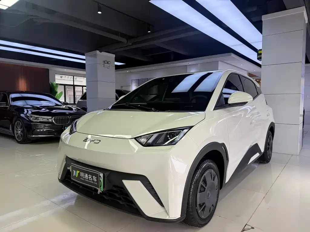 2024 BYD Seagull Honor 305km Vitality