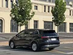 2020 Volkswagen Viloran 330TSI Business, чёрный — фото 15
