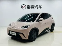2025 BYD Seagull 305km Vitality — фото 1
