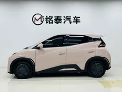 2025 BYD Seagull 305km Vitality — фото 3