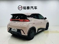 2025 BYD Seagull 305km Vitality — фото 10
