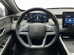 2025 BYD Qin PLUS EV 510KM Smart Driving Advance — фото 7