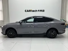 2025 BYD Qin PLUS EV 510KM Smart Driving Advance — фото 10