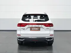 2021 Haval M6 Plus 1.5T DCT Elite, белый — фото 4