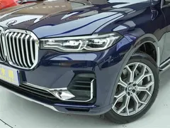 2022 BMW X7 xDrive40i Luxury Package, синий — фото 20