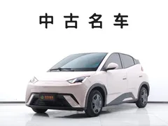 2025 BYD Seagull 305km Vitality — фото 1