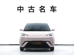 2025 BYD Seagull 305km Vitality — фото 2