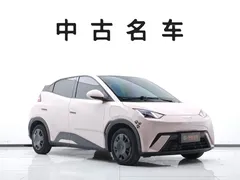 2025 BYD Seagull 305km Vitality — фото 3
