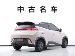 2025 BYD Seagull 305km Vitality — фото 4
