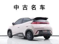 2025 BYD Seagull 305km Vitality — фото 6