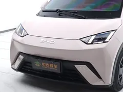 2025 BYD Seagull 305km Vitality — фото 18
