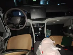 2025 BYD Song PLUS EV 520km Luxury, белый — фото 10