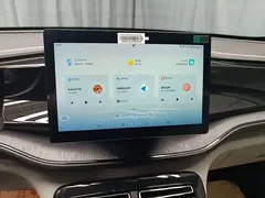 2023 BYD Qin PLUS Champion DM-i PHEV 55KM Leading, белый — фото 13